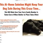 Save Your Dog