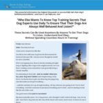 Secrets to Dog Training: Stop Your Dog's Behavior Problems!