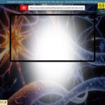 Millionaire’s Brain Academy